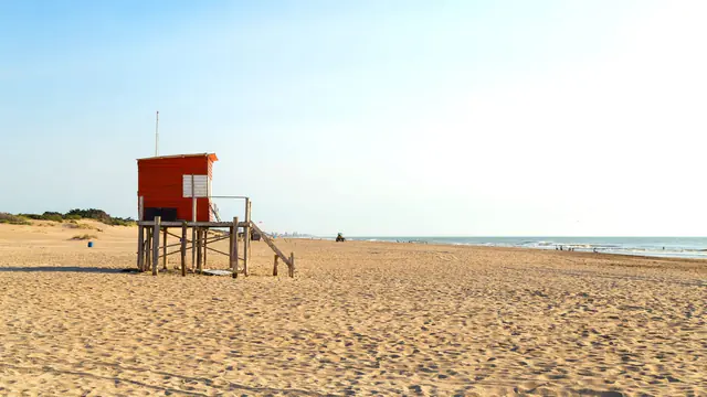 Playas y médanos de Mar de las Pampas